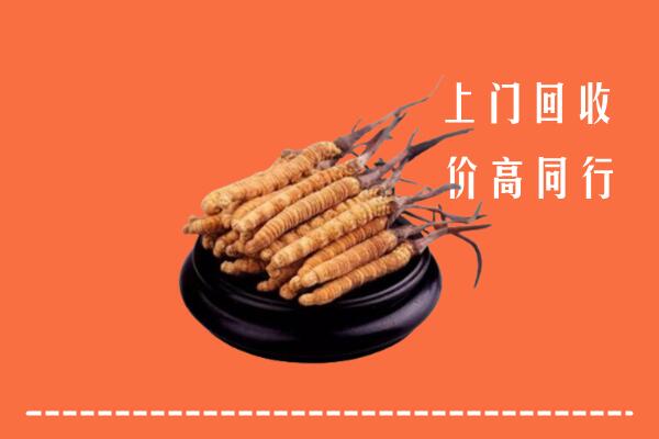 高价求购：西山区回收散虫草