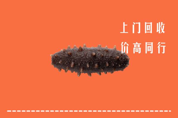 高价求购：西山区回收海参