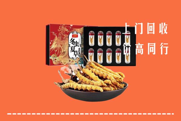西山区回收虫草